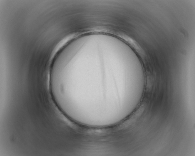 X0000113541286200910161404