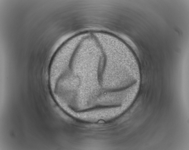 X0000113541287200910161404
