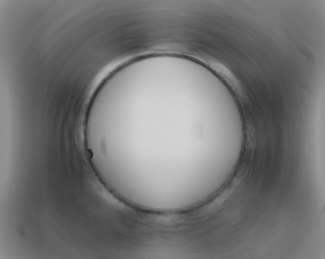 X0000113541288200910161404