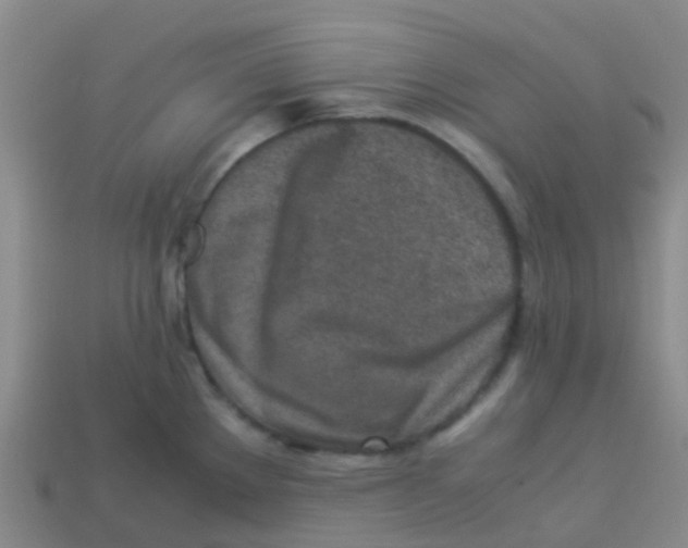 X0000113541289200910161404
