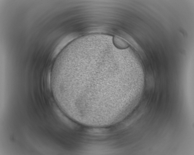 X0000113541290200910161404