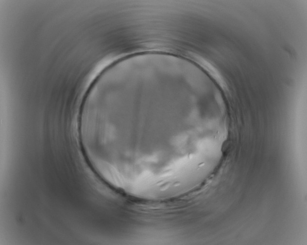 X0000113541291200910161404