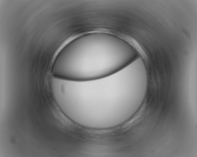 X0000113541292200910161404