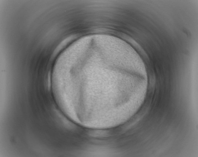 X0000113541294200910161404