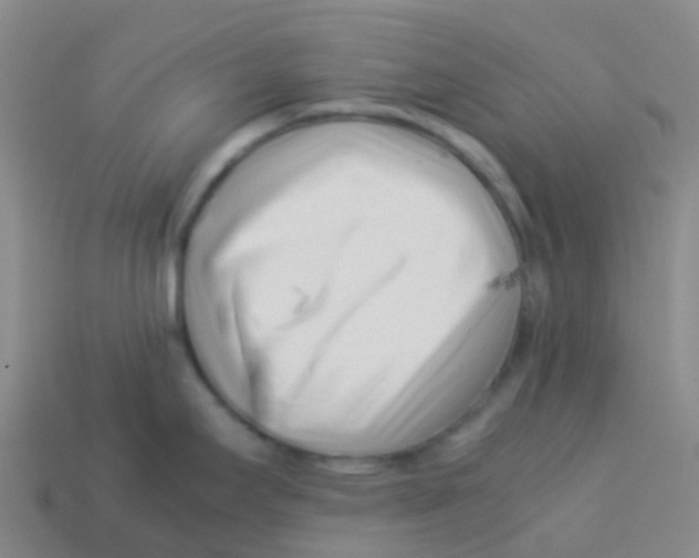 X0000113541295200910161404