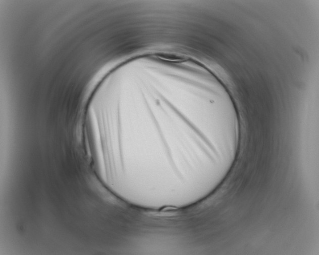 X0000113541296200910161404