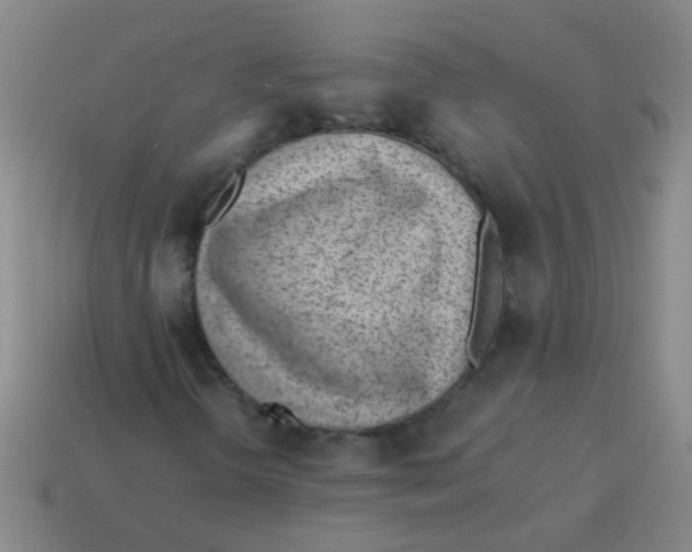 X0000113541298200910161403