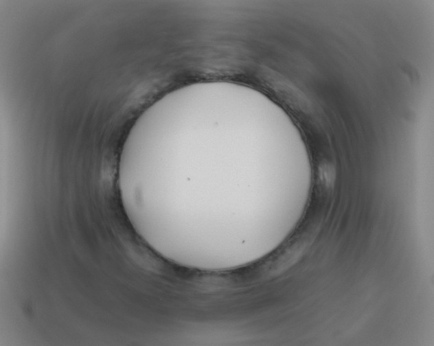 X0000113541300200910161403