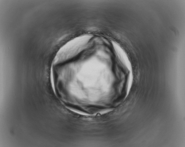 X0000113541301200910161403