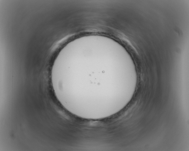 X0000113541304200910161403