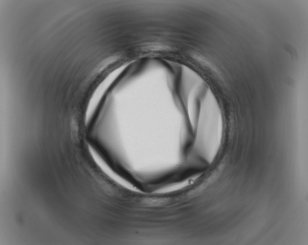 X0000113541305200910161403