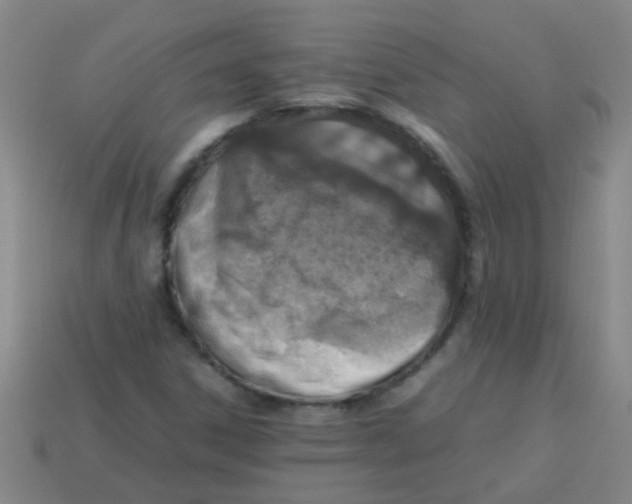 X0000113541306200910161403