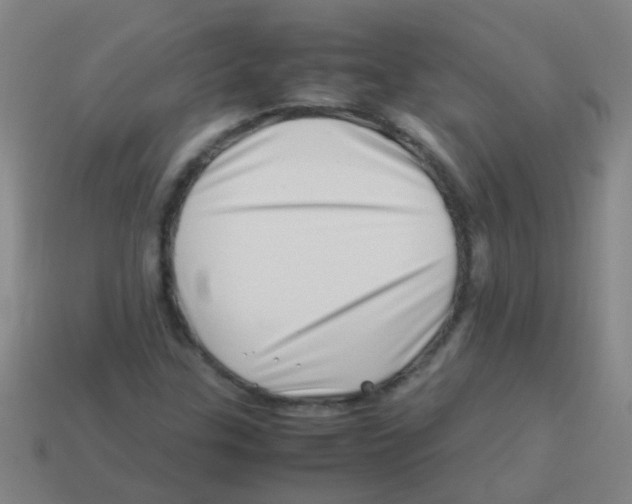 X0000113541307200910161403