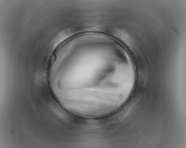 X0000113541308200910161403