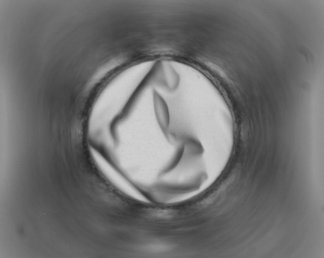 X0000113541309200910161403