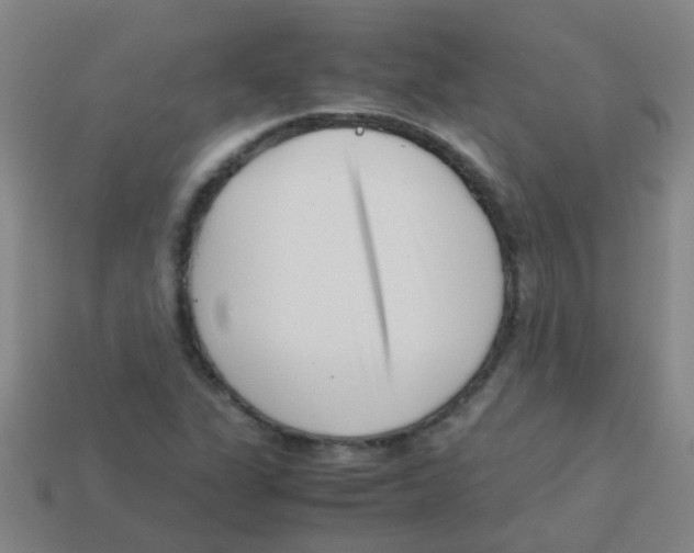 X0000113541311200910161403