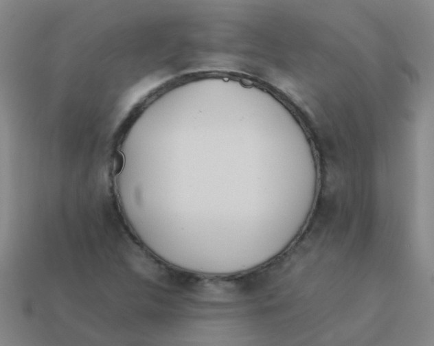 X0000113541312200910161403