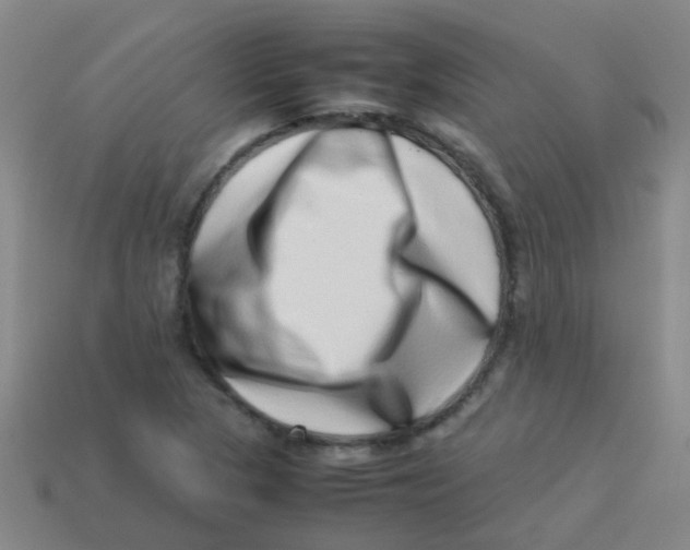 X0000113541313200910161403