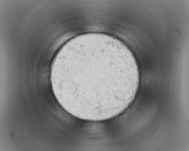 X0000113541314200910161403