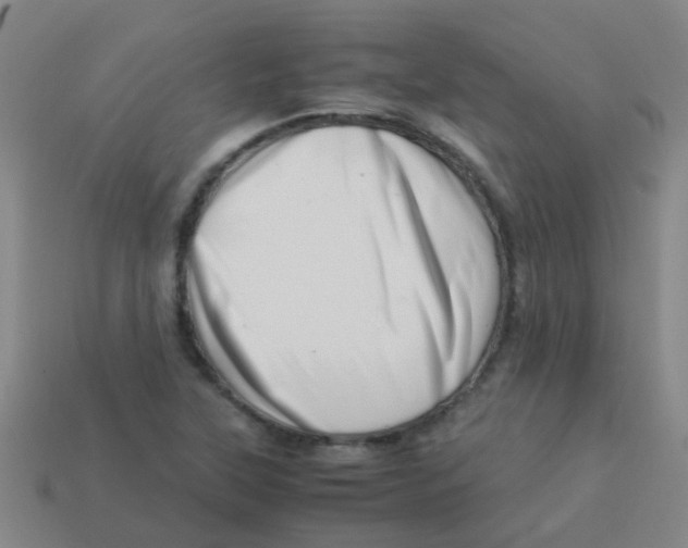 X0000113541315200910161403