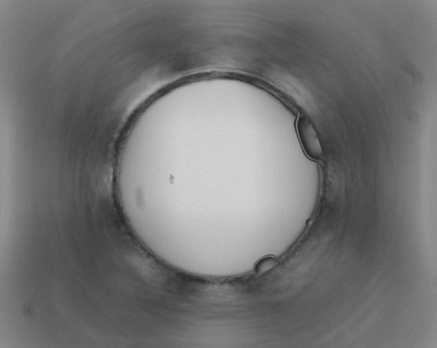 X0000113541316200910161403