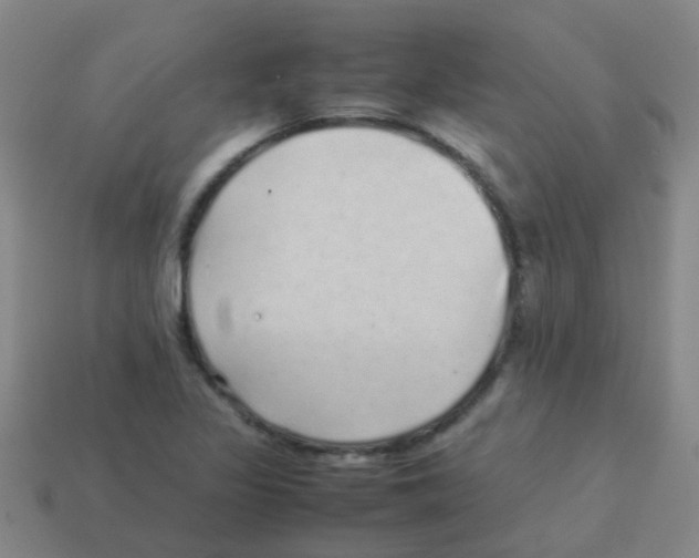 X0000113541317200910161403