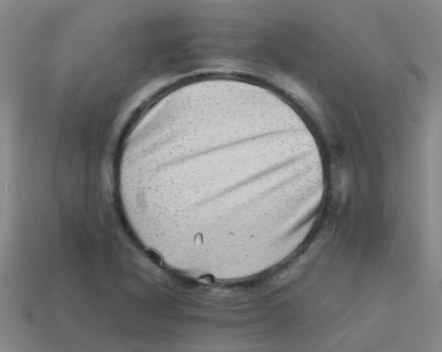 X0000113541318200910161403