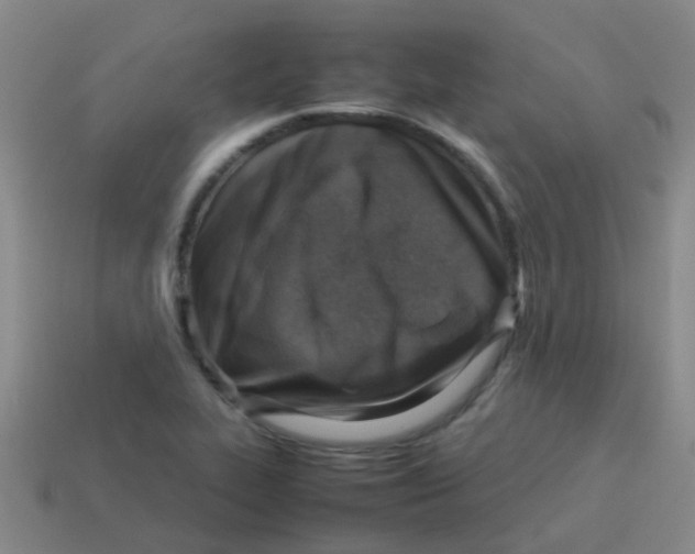 X0000113541319200910161403