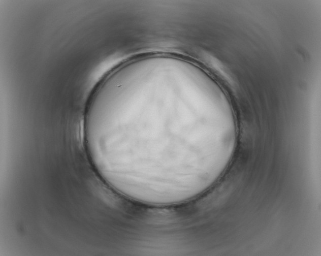 X0000113541320200910161403