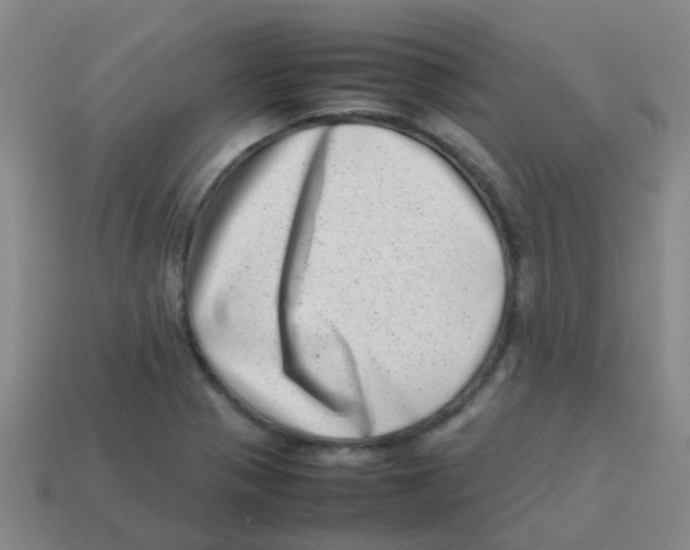 X0000113541321200910161403