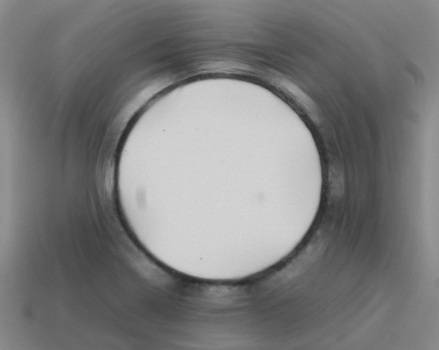 X0000113541322200910161403