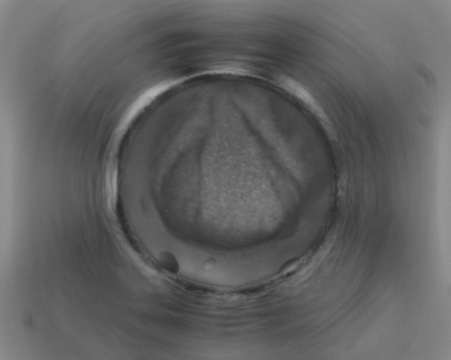X0000113541323200910161403