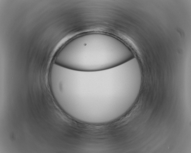 X0000113541324200910161404