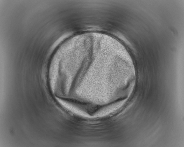 X0000113541325200910161404