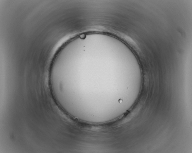 X0000113541326200910161404
