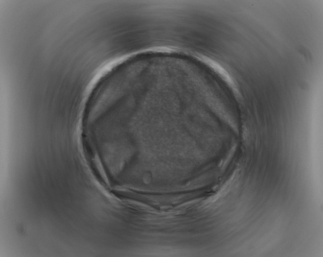 X0000113541327200910161404