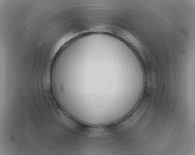 X0000113541328200910161404