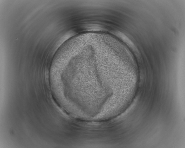 X0000113541329200910161404