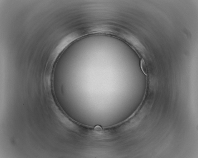 X0000113541330200910161404
