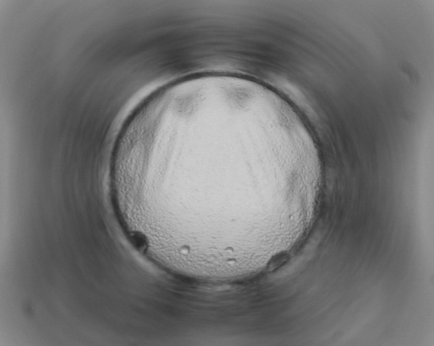 X0000113541331200910161404