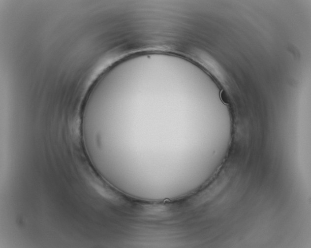 X0000113541332200910161404