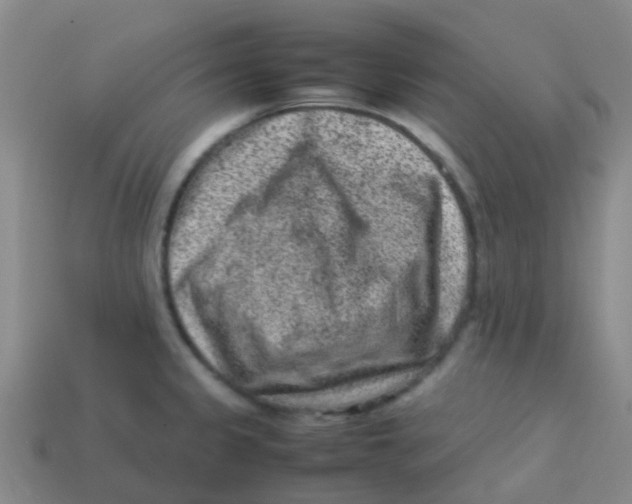 X0000113541333200910161404
