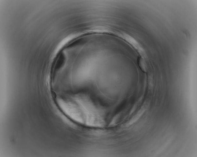 X0000113541334200910161404