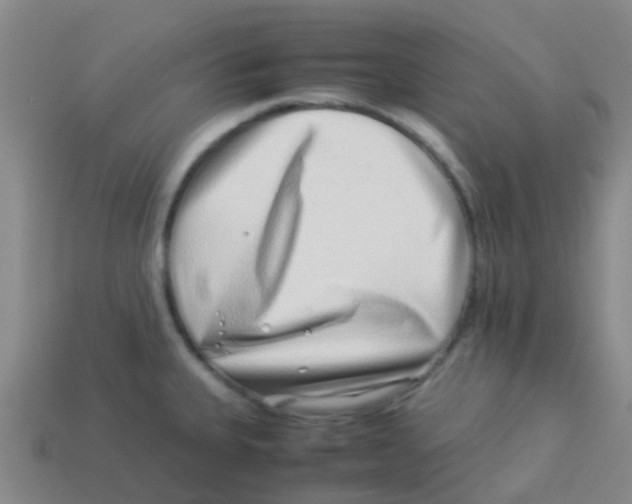 X0000113541335200910161404
