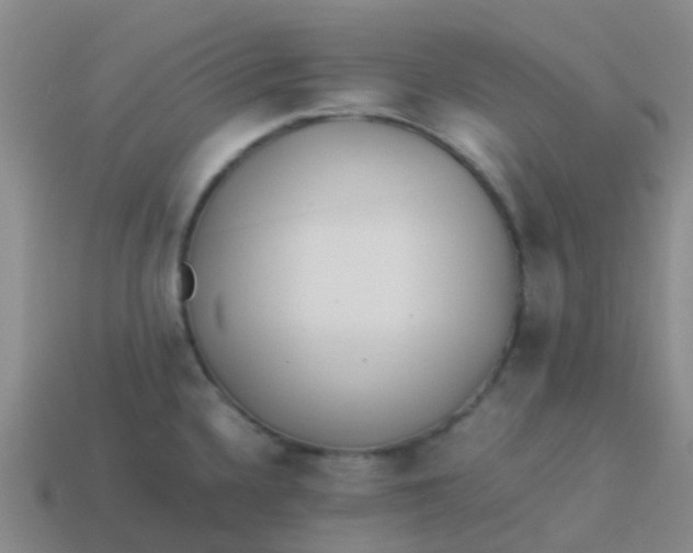 X0000113541336200910161404