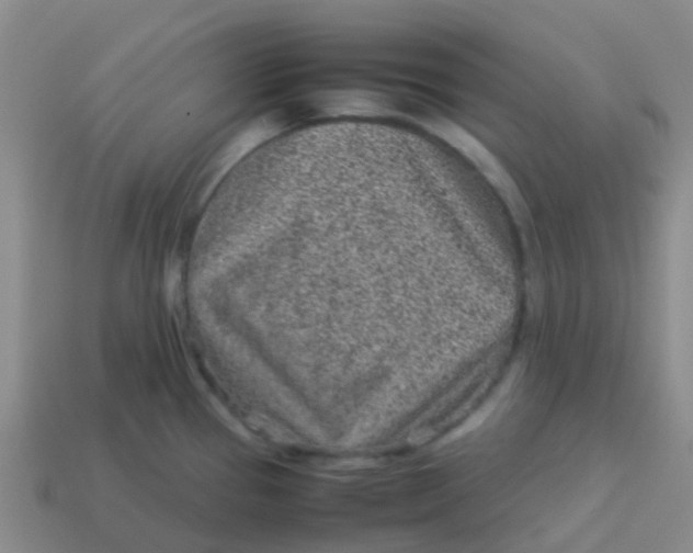 X0000113541337200910161404