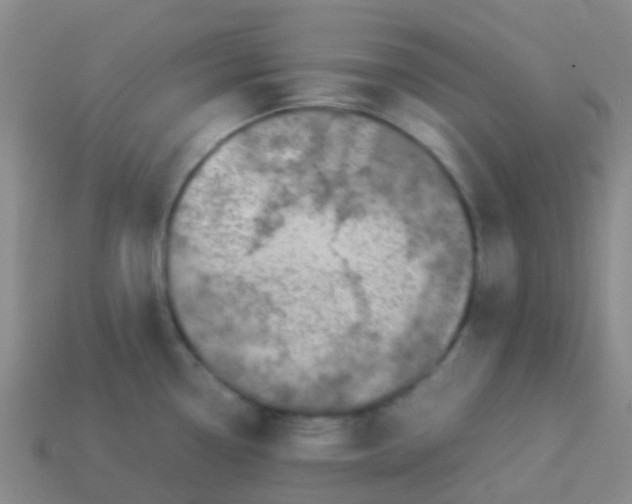X0000113541338200910161404