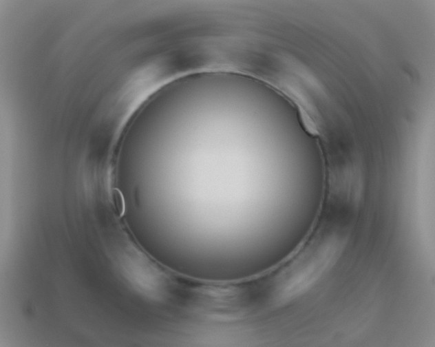 X0000113541340200910161404