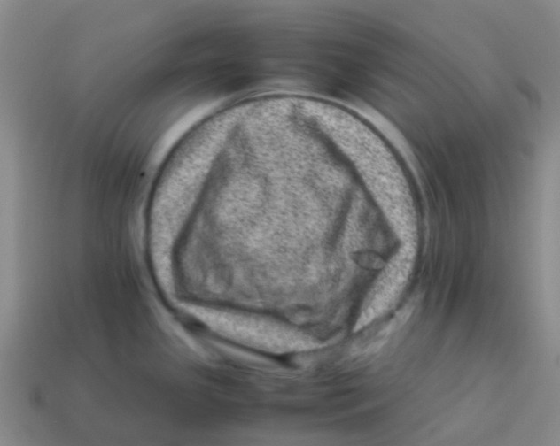 X0000113541341200910161404