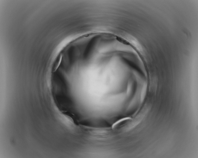 X0000113541342200910161404